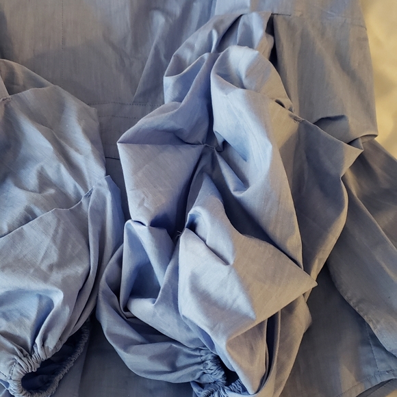 NWT Stunning Puffed Sleeve Top - Picture 10 of 11